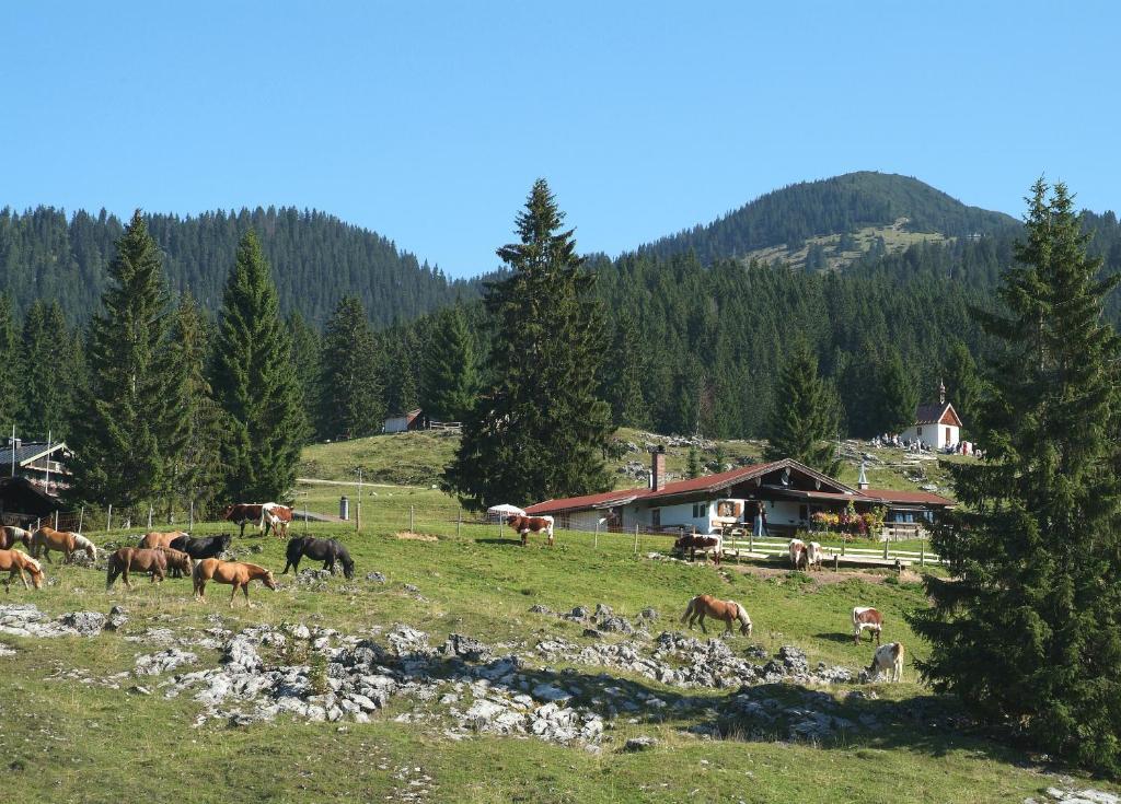 Gaestehaeuser Schwemmbauer ไรท์อิมวิงเคอ ภายนอก รูปภาพ